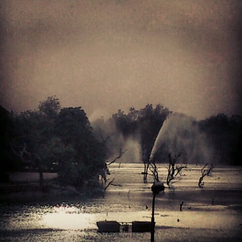 I clicked this near the hauz khas fort, and thanks to Instagram for the effects.
